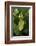 Walking Leaf, Female on Blackberry Leaves-Harald Kroiss-Framed Photographic Print