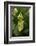 Walking Leaf, Female on Blackberry Leaves-Harald Kroiss-Framed Photographic Print