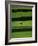 Walking on the Golf Course-null-Framed Photographic Print