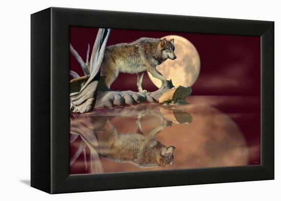 Walking on the Moon-Gordon Semmens-Framed Premier Image Canvas