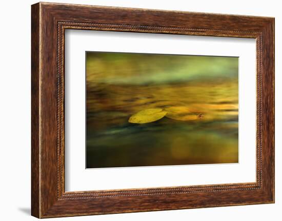 Walking on water-Heidi Westum-Framed Photographic Print