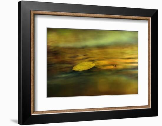 Walking on water-Heidi Westum-Framed Photographic Print