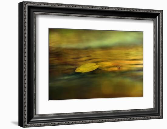 Walking on water-Heidi Westum-Framed Photographic Print