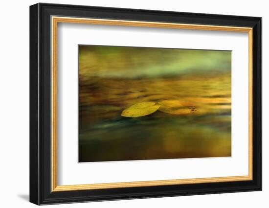 Walking on water-Heidi Westum-Framed Photographic Print