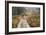 Walking the Dogs-Cora Niele-Framed Photographic Print
