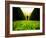 Walking through Garden Maze-Jan Lakey-Framed Photographic Print