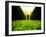 Walking through Garden Maze-Jan Lakey-Framed Photographic Print