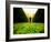 Walking through Garden Maze-Jan Lakey-Framed Photographic Print