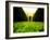 Walking through Garden Maze-Jan Lakey-Framed Photographic Print