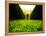 Walking through Garden Maze-Jan Lakey-Framed Premier Image Canvas