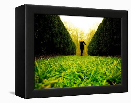 Walking through Garden Maze-Jan Lakey-Framed Premier Image Canvas