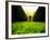 Walking through Garden Maze-Jan Lakey-Framed Photographic Print