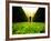 Walking through Garden Maze-Jan Lakey-Framed Photographic Print