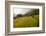 Walking Through the Terraced Rice Fields. Vietnam, Indochina-Tom Norring-Framed Photographic Print