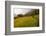 Walking Through the Terraced Rice Fields. Vietnam, Indochina-Tom Norring-Framed Photographic Print