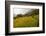 Walking Through the Terraced Rice Fields. Vietnam, Indochina-Tom Norring-Framed Photographic Print