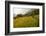 Walking Through the Terraced Rice Fields. Vietnam, Indochina-Tom Norring-Framed Photographic Print