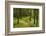 Walking Trail, Hochkopf, Near Schonau, Black Forest, Baden-Wurttemberg, Germany, Europe-Jochen Schlenker-Framed Photographic Print