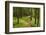 Walking Trail, Hochkopf, Near Schonau, Black Forest, Baden-Wurttemberg, Germany, Europe-Jochen Schlenker-Framed Photographic Print