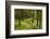 Walking Trail, Hochkopf, Near Schonau, Black Forest, Baden-Wurttemberg, Germany, Europe-Jochen Schlenker-Framed Photographic Print