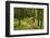 Walking Trail, Hochkopf, Near Schonau, Black Forest, Baden-Wurttemberg, Germany, Europe-Jochen Schlenker-Framed Photographic Print