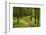 Walking Trail, Hochkopf, Near Schonau, Black Forest, Baden-Wurttemberg, Germany, Europe-Jochen Schlenker-Framed Photographic Print