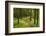 Walking Trail, Hochkopf, Near Schonau, Black Forest, Baden-Wurttemberg, Germany, Europe-Jochen Schlenker-Framed Photographic Print