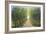 Walking Trail II-Tim OToole-Framed Art Print