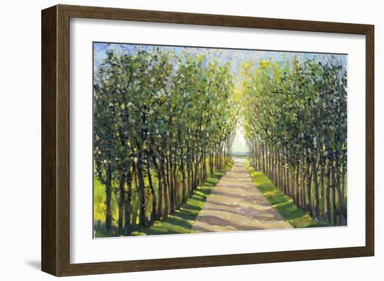 Walking Trail II-Tim OToole-Framed Art Print