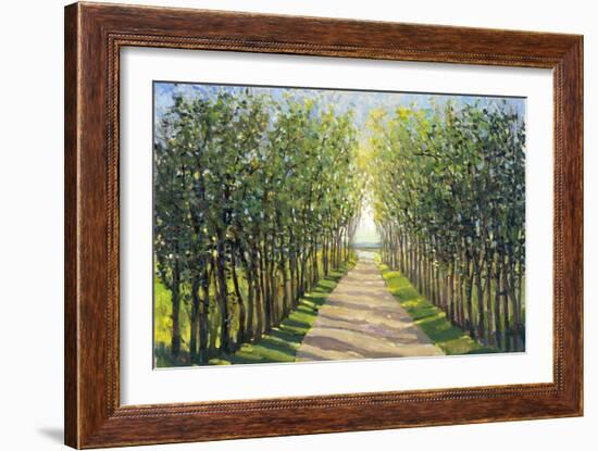 Walking Trail II-Tim OToole-Framed Art Print