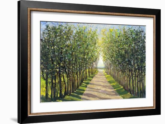 Walking Trail II-Tim OToole-Framed Art Print