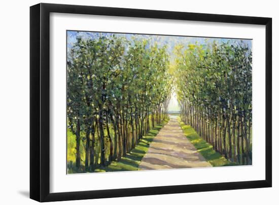 Walking Trail II-Tim OToole-Framed Art Print