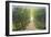 Walking Trail II-Tim OToole-Framed Art Print