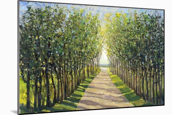 Walking Trail II-Tim OToole-Mounted Art Print