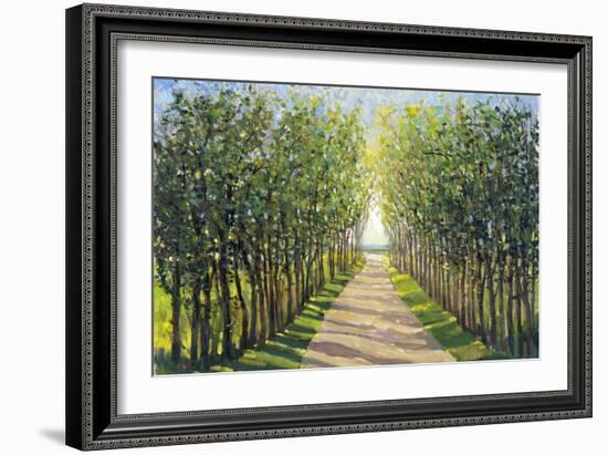 Walking Trail II-Tim OToole-Framed Art Print