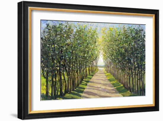 Walking Trail II-Tim OToole-Framed Art Print