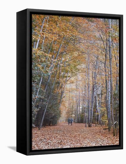 Walking-Moises Levy-Framed Premier Image Canvas