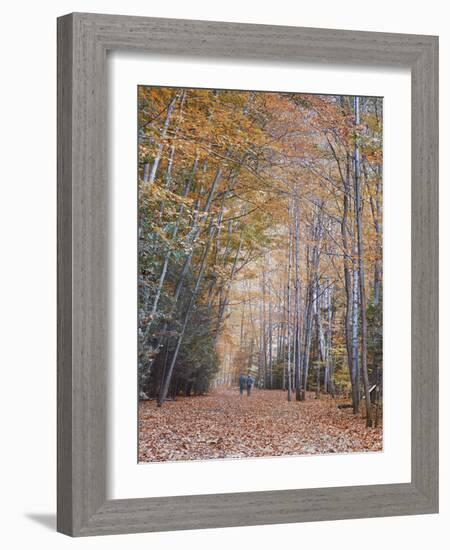 Walking-Moises Levy-Framed Photographic Print