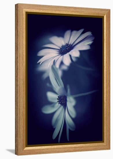 Walkway Blues-Philippe Sainte-Laudy-Framed Premier Image Canvas