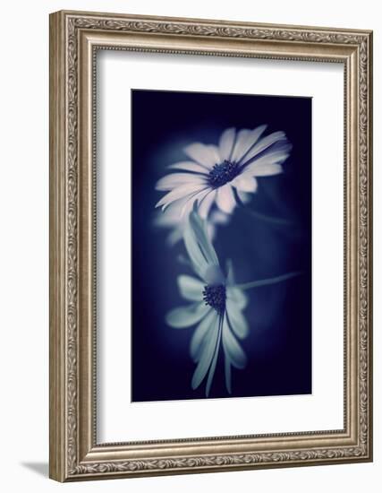 Walkway Blues-Philippe Sainte-Laudy-Framed Photographic Print