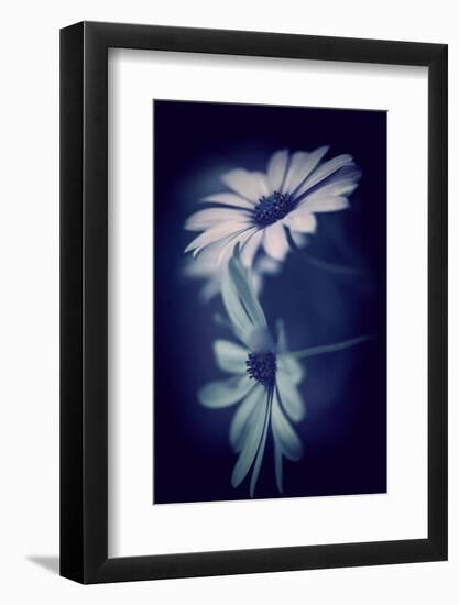 Walkway Blues-Philippe Sainte-Laudy-Framed Photographic Print