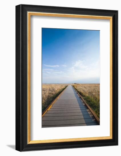 Walkway Going Through the Badlands National Park, South Dakota, Usa-Michael Runkel-Framed Photographic Print