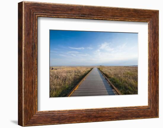 Walkway Going Through the Badlands National Park, South Dakota, Usa-Michael Runkel-Framed Photographic Print