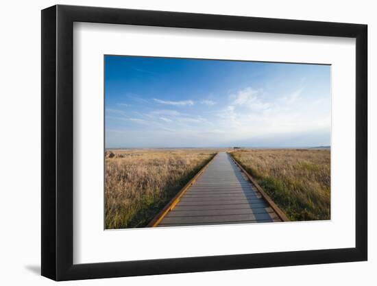 Walkway Going Through the Badlands National Park, South Dakota, Usa-Michael Runkel-Framed Photographic Print