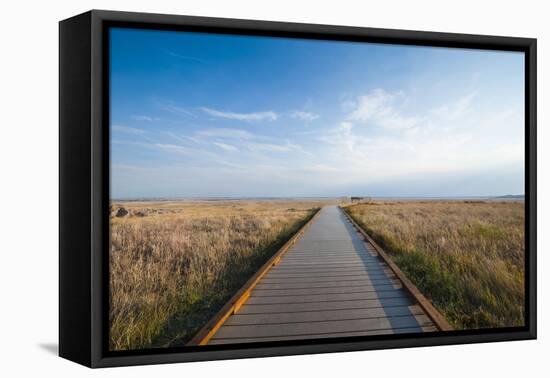 Walkway Going Through the Badlands National Park, South Dakota, Usa-Michael Runkel-Framed Premier Image Canvas