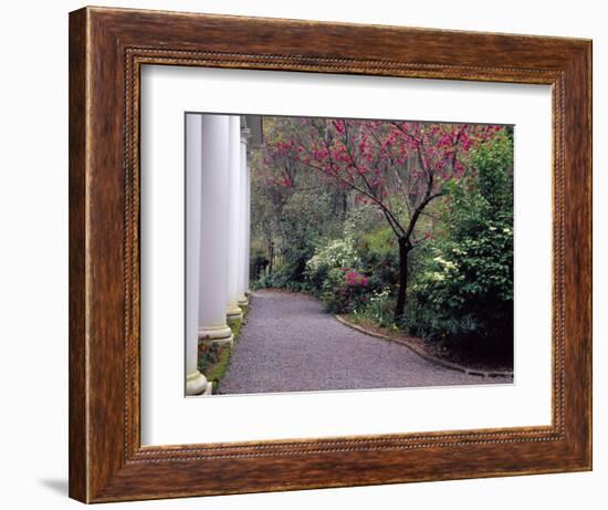 Walkway in Gardens, Magnolia Plantation and Gardens, Charleston, South Carolina, USA-Julie Eggers-Framed Photographic Print