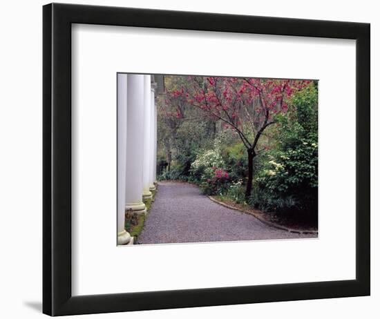 Walkway in Gardens, Magnolia Plantation and Gardens, Charleston, South Carolina, USA-Julie Eggers-Framed Photographic Print