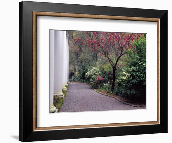 Walkway in Gardens, Magnolia Plantation and Gardens, Charleston, South Carolina, USA-Julie Eggers-Framed Photographic Print