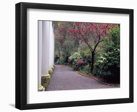 Walkway in Gardens, Magnolia Plantation and Gardens, Charleston, South Carolina, USA-Julie Eggers-Framed Photographic Print