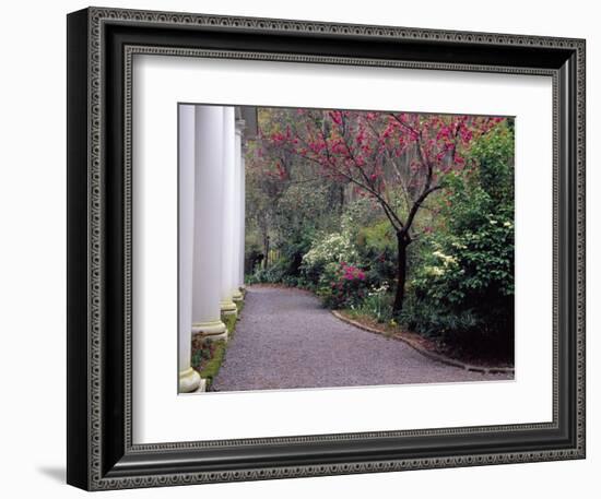 Walkway in Gardens, Magnolia Plantation and Gardens, Charleston, South Carolina, USA-Julie Eggers-Framed Photographic Print